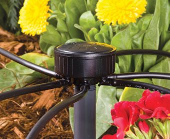 6-Outlet Drip Irrigation Manifold