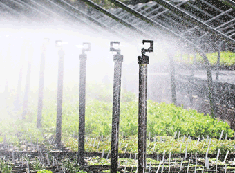 Micro Sprayer Series 038 for Misting, Germination, Seeding and Rooting