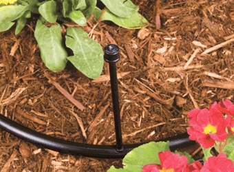 Mister on Threaded Barb