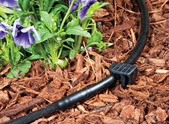 Pop-Up Riser Assembly