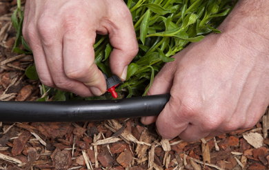 DB250 Maintenance & Repair Expansion Bucket