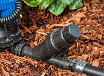 Filter/Pressure Regulator