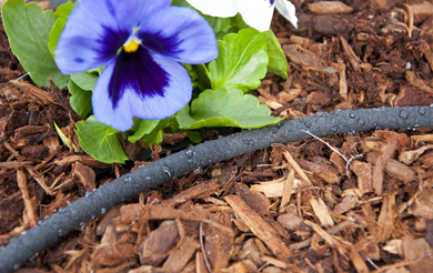 ST100AS Drip & Soak Tape Vegetable Watering Kit