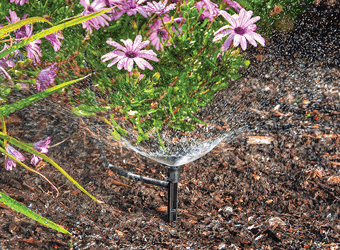 Adjustable Sprayer on Stake