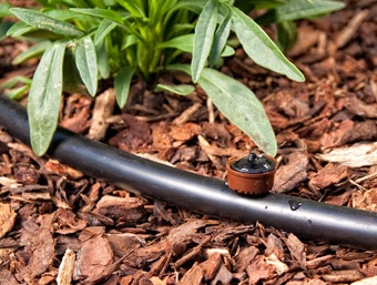 PCA-CV PC Drip Emitter with Built-in Check Valve