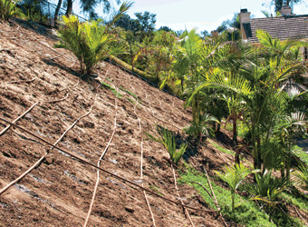 Excel™ PCD CV 17 mm Dripline with Check Valve