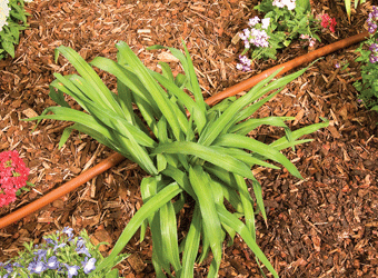 GD50 PC Dripline Watering Kit