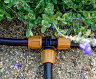 Universal NUTLOC™ Fittings