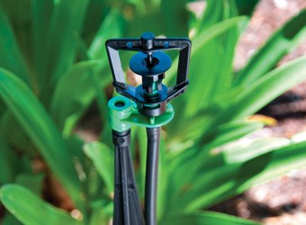 Micro Sprinkler on Spike