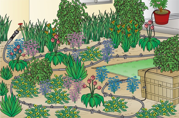 DIG distribution network