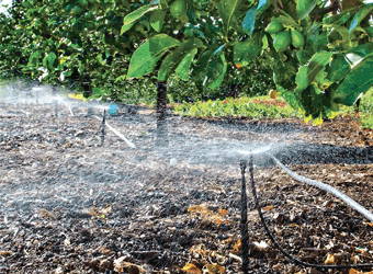 Mini Sprinkler Series 700