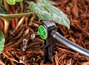 Pressure Compensating Dripper on Stake