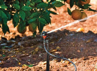 Compact Micro Sprinkler Series 961