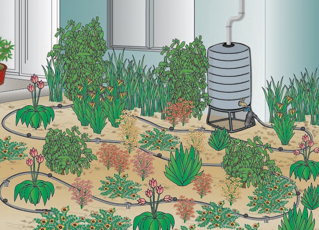 DIG rain barrel drip system