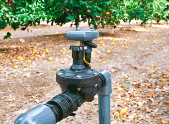 LEIT 1 with Inline Valve