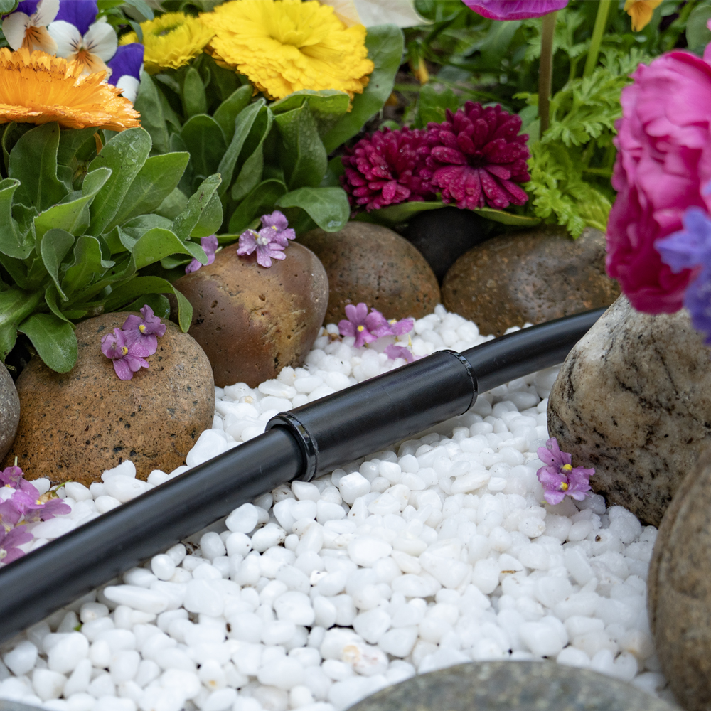 Compression Fittings