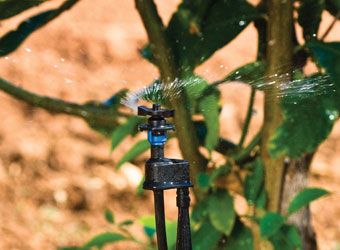 Flow-Regulated Mini Compact Micro Sprinkler